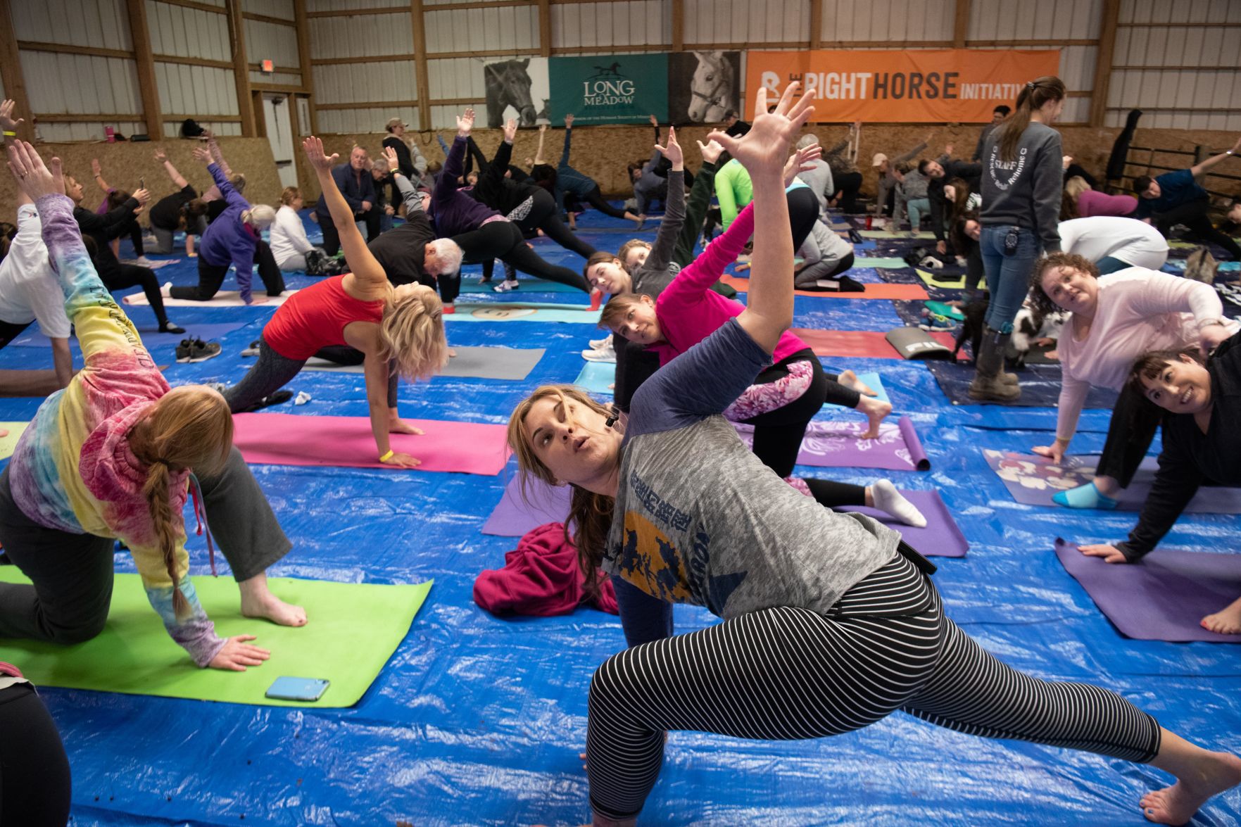 Baby goat yoga at Longmeadow Rescue Ranch